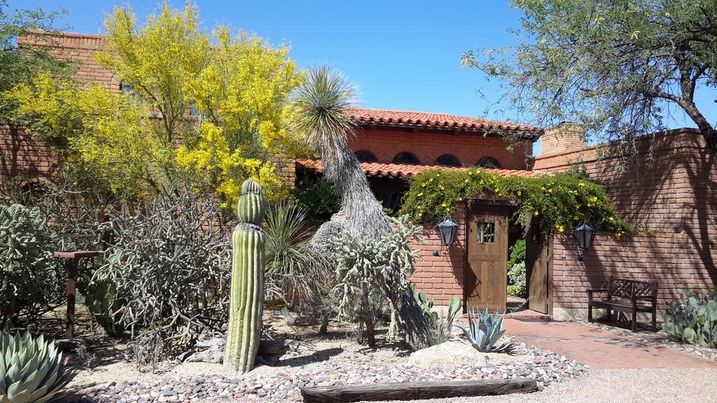 Tanque Verde Desert Trails Bed & Breakfast מראה חיצוני תמונה